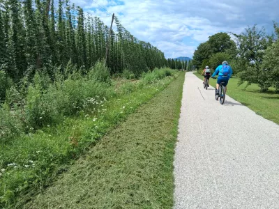 &scaron;trekna proti Slovenj Gradcu hmelj, kolesar / Foto: Katja Petrovec