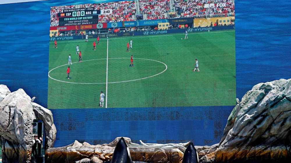 Soccer Football - FIFA World Cup 2026 - Final - Spain v Argentina - Fans gather in SeaWorld - SeaWorld, San Diego, California, U.S. - July 19, 2026 Orca whales stop in front of a large screen showing the World Cup Final match between Spain and Argentina during a watch party from Orca Encounter at SeaWorld in San Diego, California, U.S., July, 19, 2026. REUTERS/Mike Blake  TPX IMAGES OF THE DAY