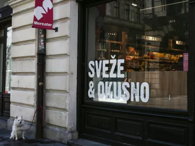 - 12.02.2019 - simbolična fotografija - samopostrežna trgovina Mercator - Stritarjeva ulica - pes - sveže & okusno  //FOTO: Luka Cjuha.