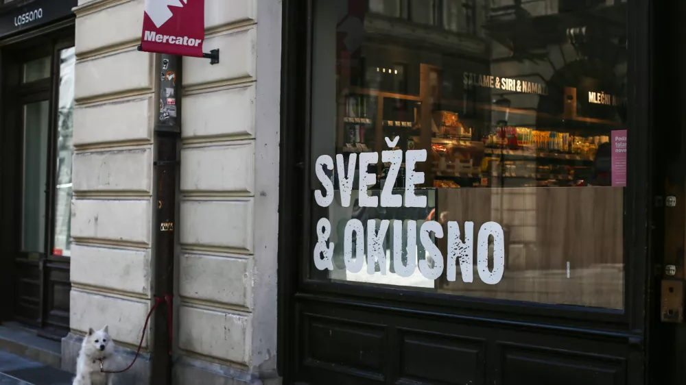 - 12.02.2019 - simbolična fotografija - samopostrežna trgovina Mercator - Stritarjeva ulica - pes - sveže & okusno  //FOTO: Luka Cjuha.