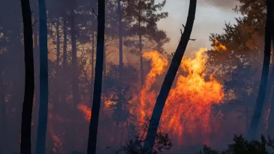 Wildfires advance near Le Proge region, western France, Thursday, July 23, 2026. (AP Photo/Caroline Blumberg)