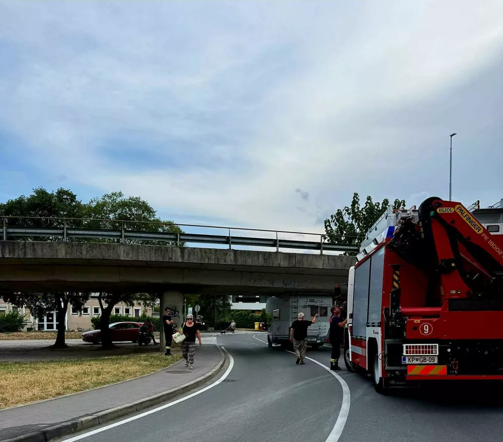 Foto: Jernej Korljan
