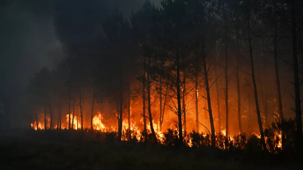 Trees burn as a wildfire rages near Marcheprime, outside, Bordeaux, France, Sunday, July 26, 2026. (AP Photo/Emma Da Silva)