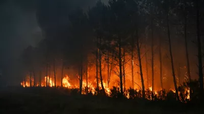 Trees burn as a wildfire rages near Marcheprime, outside, Bordeaux, France, Sunday, July 26, 2026. (AP Photo/Emma Da Silva)