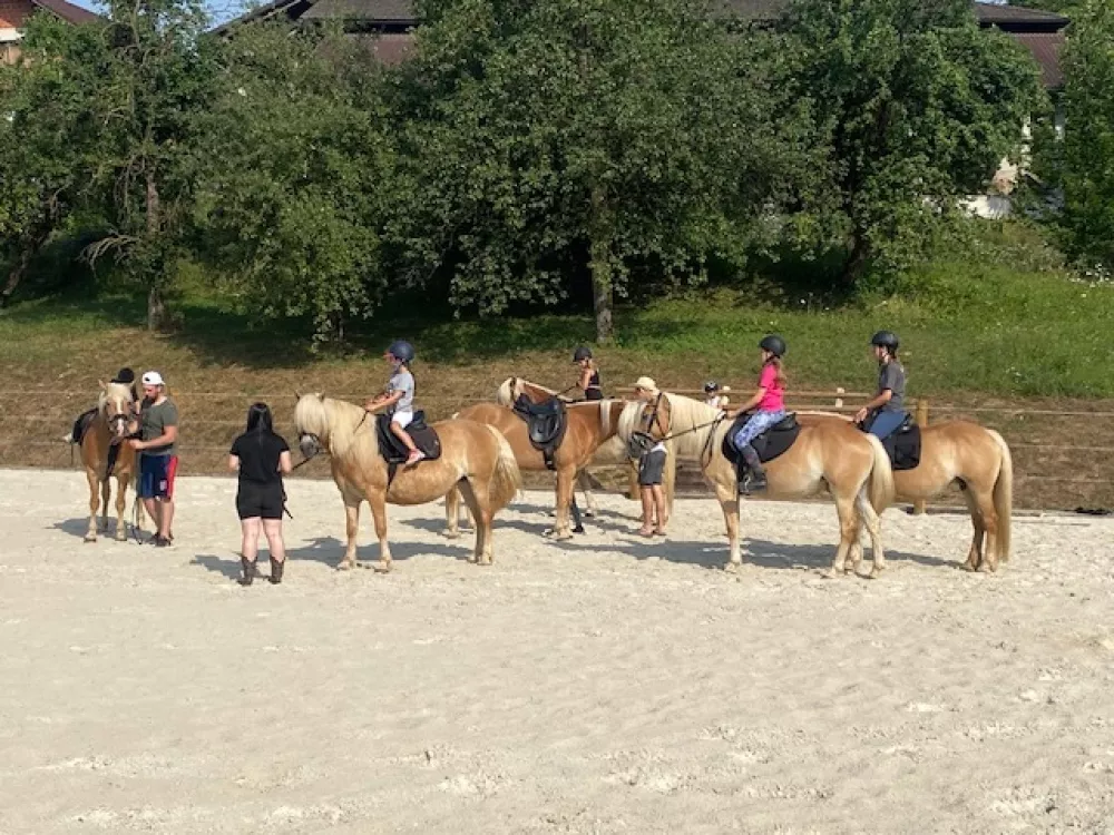 V bližnji maneži poteka &scaron;ola jahanja izku&scaron;ene jahače pa popeljejo tudi po okoli&scaron;kih gozdnih poteh. F osebni arhiv
