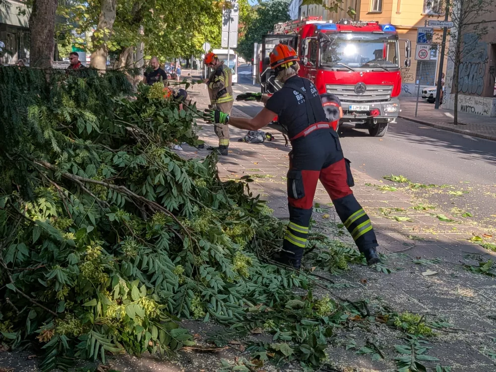 Foto: Svit Senković