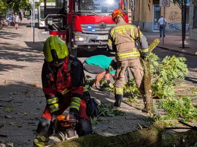 Foto: Svit Senković
