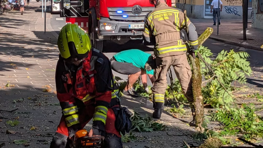 Foto: Svit Senković