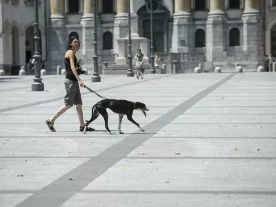 Kongresni trg - pes - - 17.07.2015 - vremenska slika v Ljubljani - poletje - vročina - vročinski val - visoke temperature - najvi&scaron;je dnevne temperature do 37 stopinj Celzija -       ///FOTO: Luka Cjuha.