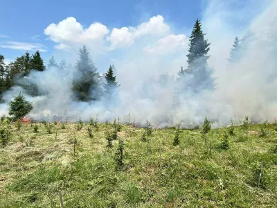 Gori v gozdu med Trbojami in Smlednikom. 