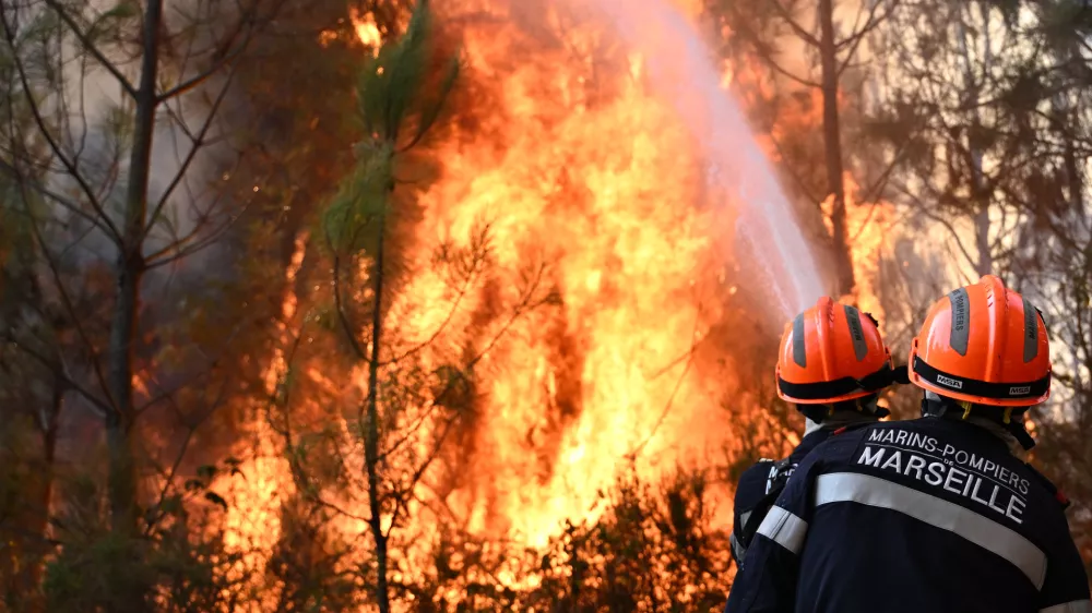 Firefighters work to extinguish a fire in the forest near Blagon, during wildfires in southwestern France, Wednesday, July 29, 2026. (AP Photo/Emma Da Silva)