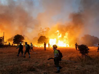 Residents and firefighters work to extinguish an advancing wildfire near Formariz in Zamora province, Spain, July 29, 2026. REUTERS/Umit Bektas   TPX IMAGES OF THE DAY