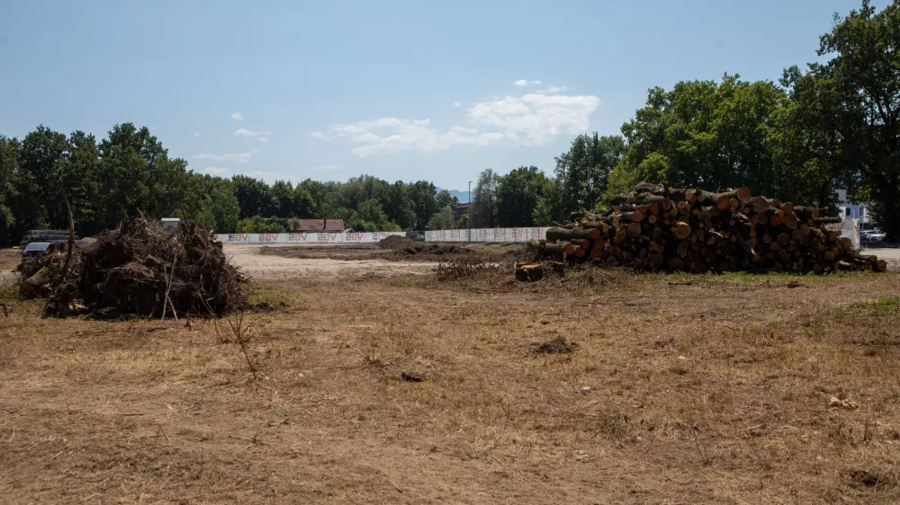 Prebivalce Viča zmotil posek dreves za gradnjo plezalnega centra