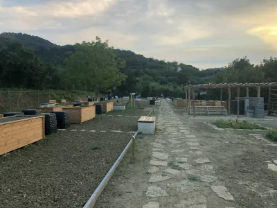 Za 49 urbanih vrtičkov skoraj 300 prijav