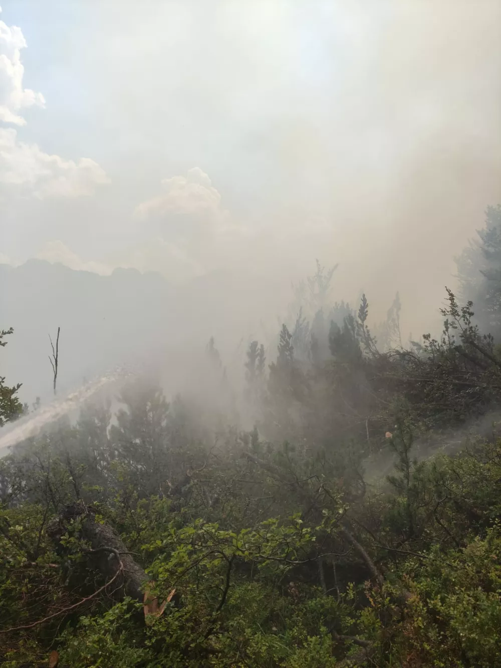 Bovec, Planja.Pozar v naravi na Planji v obcini Bovec.Foto: Gasilska zveza Bovec