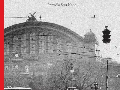 Februar 33. Zima literature