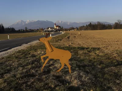 - 23.03.2022 &ndash; Su&scaron;a v Sloveniji - kmetijske povr&scaron;ine, kmetovanje, suha zemlja, njiva, živali na cesti, srna /FOTO: Jaka Gasar