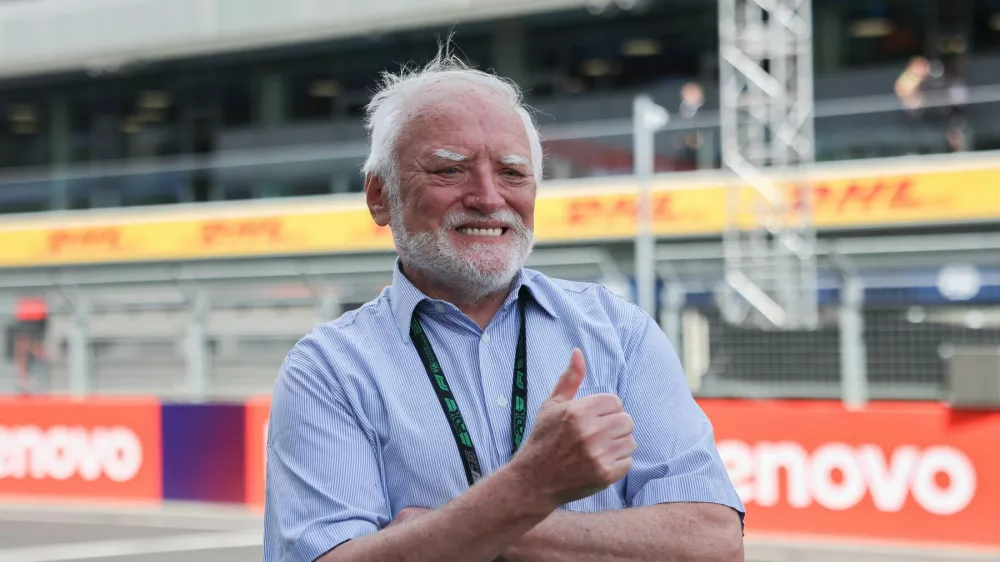 Andras Arato, Hide the Pain Harold. Foto: Profimedia