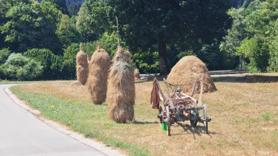 ilustracija senene kopice Lo&scaron;ka dolina / Foto: Andraž Polič