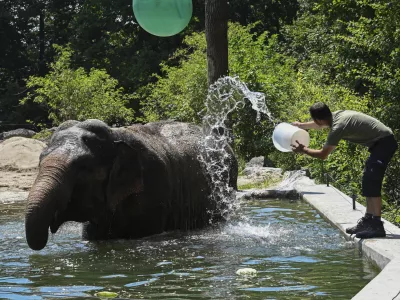 11.07.2024 - ZOO Živalski vrt LjubljanaFOTO: Nik Erik Neubauer