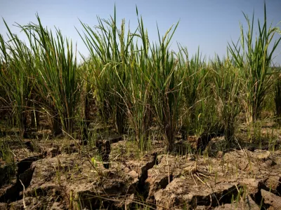 FILE PHOTO: Cracks appear on a paddy field in a drought-hit area during the dry season, amid forecasts that El Ni&ntilde;o may contribute to drier-than-normal conditions, in Rido Galuh village, Bekasi regency, Indonesia, July 16, 2026. REUTERS/Willy Kurniawan/File Photo