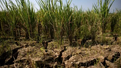 FILE PHOTO: Cracks appear on a paddy field in a drought-hit area during the dry season, amid forecasts that El Niño may contribute to drier-than-normal conditions, in Rido Galuh village, Bekasi regency, Indonesia, July 16, 2026. REUTERS/Willy Kurniawan/File Photo