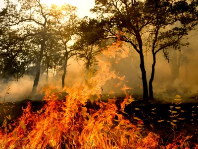 Flames consume vegetation as the Gann Fire burns near Copperopolis on Tuesday, Aug. 4, 2026, in Calaveras County, Calif. (AP Photo/Noah Berger)