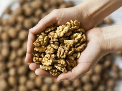 Handful of walnuts kernels against the walnuts in shell background / Foto: Rootstocks