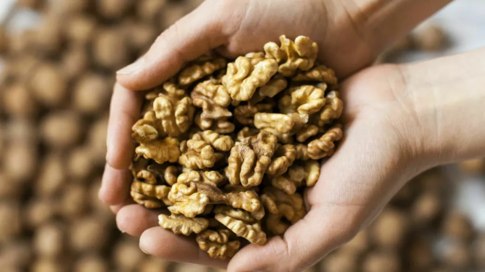 Handful of walnuts kernels against the walnuts in shell background / Foto: Rootstocks