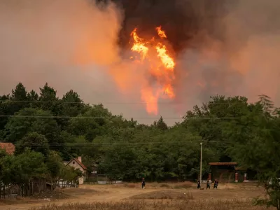 FILE PHOTO: Wildfire burns in Deliblatska Pescara, Serbia, August 7, 2026. REUTERS/Marko Djurica/File Photo
