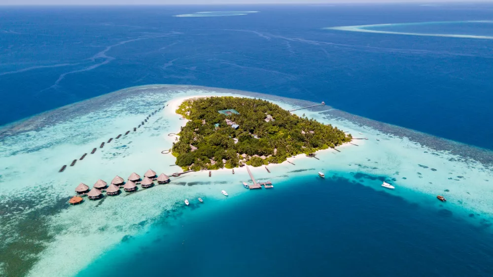 Trauminsel Malediven - TraumstrĂ&curren;nde Palmen und Sand fein wie Puderzucker., kristallklares Wasser in tĂĽrkisener Farbe...das sind die Malediven