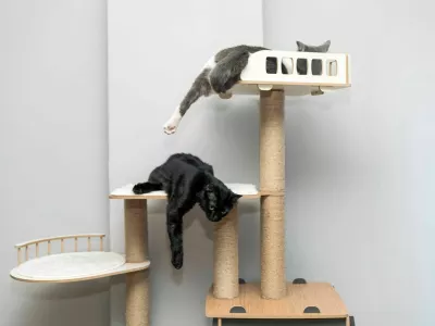 two cat laying, sleeping, relaxing on a soft cats shelf of a cats house, cat tower, cat tree on top indoors. a grey and white cat laying on top of a scratching post. pet ownership, pet friend