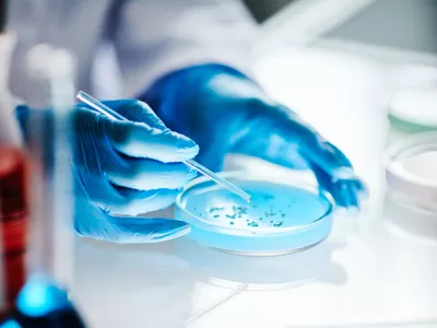 Close up on hands of unrecognizable scientist in vinyl gloves dripping liquid from pipette into petri dish studying microbiology at light table in laboratory, copy space