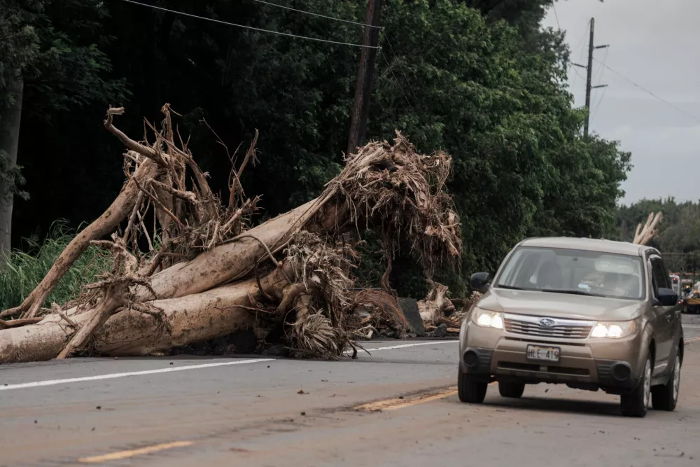 A vehicle passes by an uprooted tree along HawaiĘťi Belt Road near Pahala, Hawaii, Sunday, Aug. 16, 2026, after a severe weather system went through the area. (Stephen Lam/San Francisco Chronicle via AP)