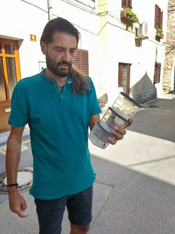 Orientalski sr&scaron;en se &scaron;iri po Kopru, občina poziva k prijavam gnezd