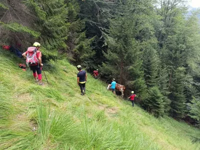 Gorski re&scaron;evalci so pomagali po&scaron;kodovanemu biku. 