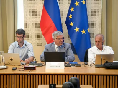 fokusna skupina za davke, strate&scaron;ki svet za gospodarstvo, Marko Lotrič, Ivan Simič