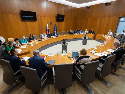 Ljubljana, drzavni zbor.Seja odbora DZ za demografijo, druzino, socialne zadeve in invalide.