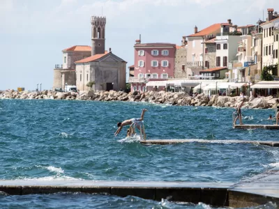 - Piran, Piranski zaliv, arbitraĹľaFoto: MatjaĹľ RuĹˇt