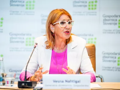 &raquo;Podjetja potrebujejo nekoga, ki je pripravljen novo re&scaron;itev prvi kupiti&laquo;