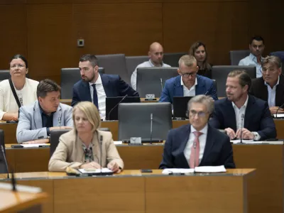 Nedeljko TodorovićResni.caresnica15.06.2026 Državni zbor - parlament - Izredna seja DZ, na kateri bodo odločali o spremembah zakona o lokalnih volitvah ter obravnavali mandatno-volilne zadeve, v okviru katerih bi DZ potrdil mandata nadomestnima poslankamafoto: Nik Erik Neubauer