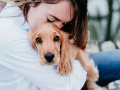 young woman and her cute puppy of cocker spaniel outdoors / Foto: Eva Blanco Getty Images