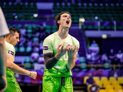 Nik Mujanović, Slovenija