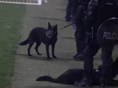 - Policija, policijski pes,,- 15.08.2026. - Nogomet Prva liga, NK Olimpija - NK Maribor.//FOTO: Bojan Velikonja
