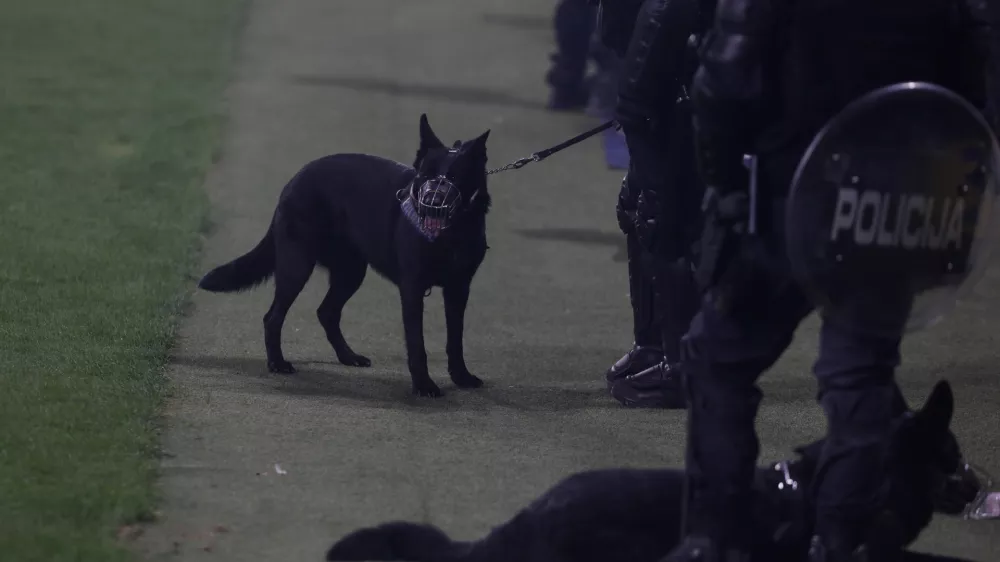 - Policija, policijski pes,,- 15.08.2026. - Nogomet Prva liga, NK Olimpija - NK Maribor.//FOTO: Bojan Velikonja