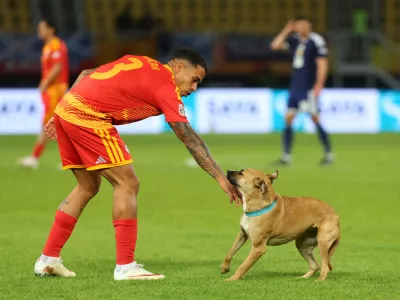 Soccer Football - Nations League - Group B1 - North Macedonia v Scotland - National Arena Todor Proeski, Skopje, North Macedonia - October 3, 2026 North Macedonia's Sebastian Herrera reacts to a dog on the pitch during the match REUTERS/Ognen Teofilovski   TPX IMAGES OF THE DAY
