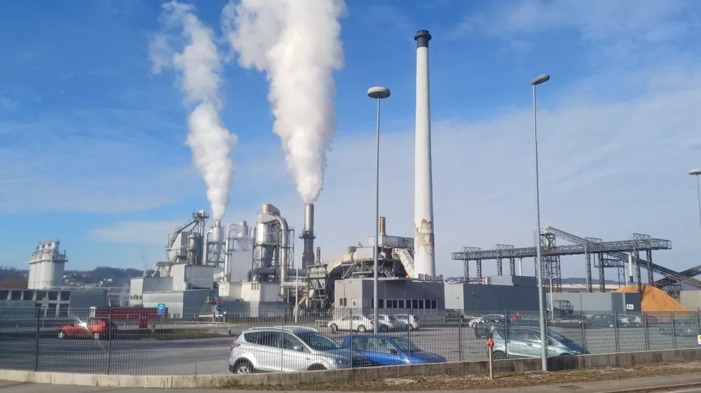 Po propadu velikanov slovenska lesna industrija vendarle kaže znake prebujenja