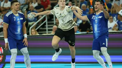 aljus anzic, zagreb, celje, rokomet, liga prvakov