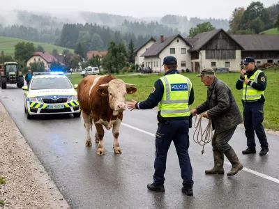 Ilustrativna slika intervencije policije, ki je bila na podlagi poročil medijev ustvarjena s pomočjo umetne inteligence.  / Foto: Google Gemini