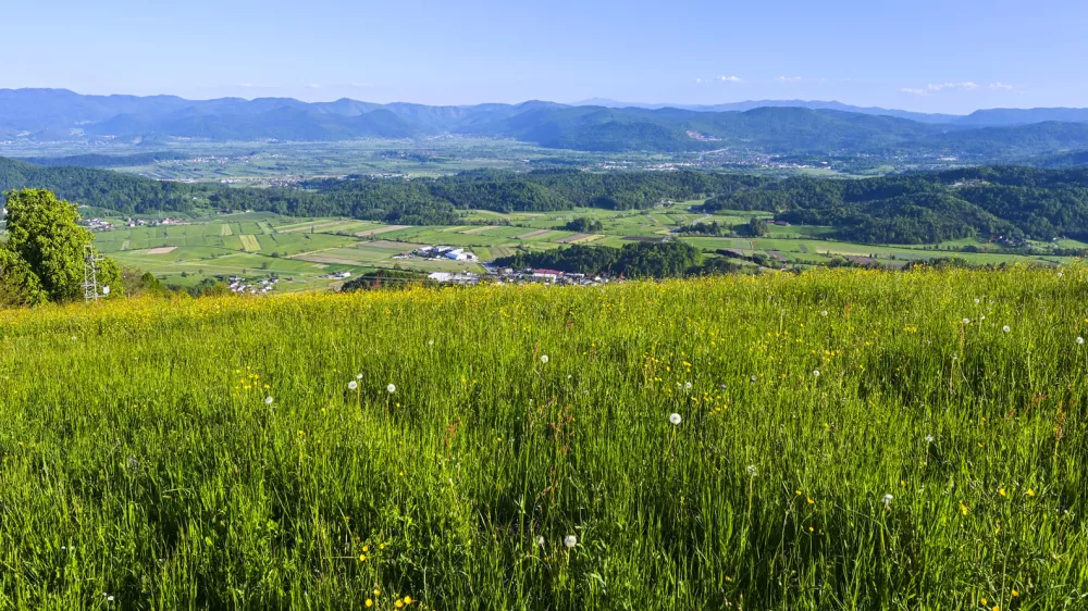 Panoramski pogled na Ljubljansko barje. 